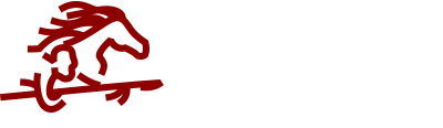 Guaikurus Films